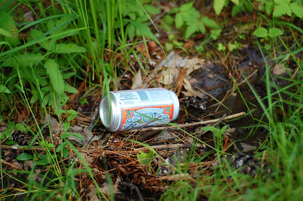 Image of can in grass